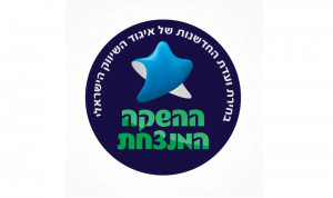 לוגו ההשקה המנצחת