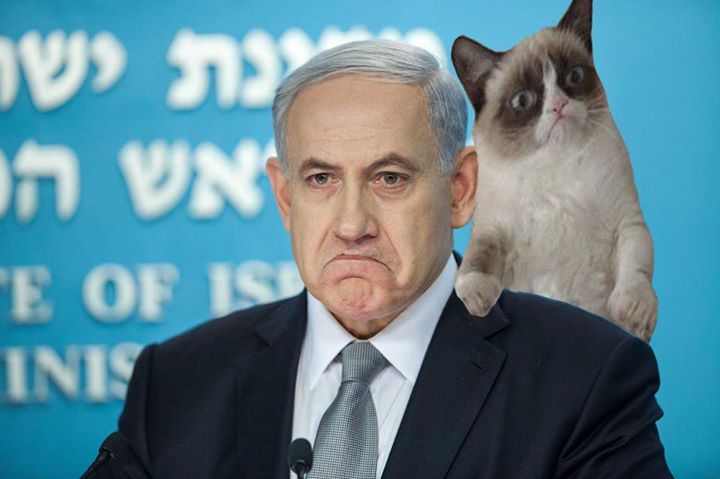 עיבוד: רז ציפריס